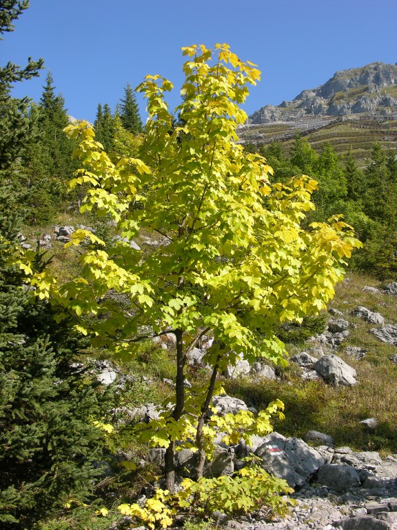 dscn1875.jpg