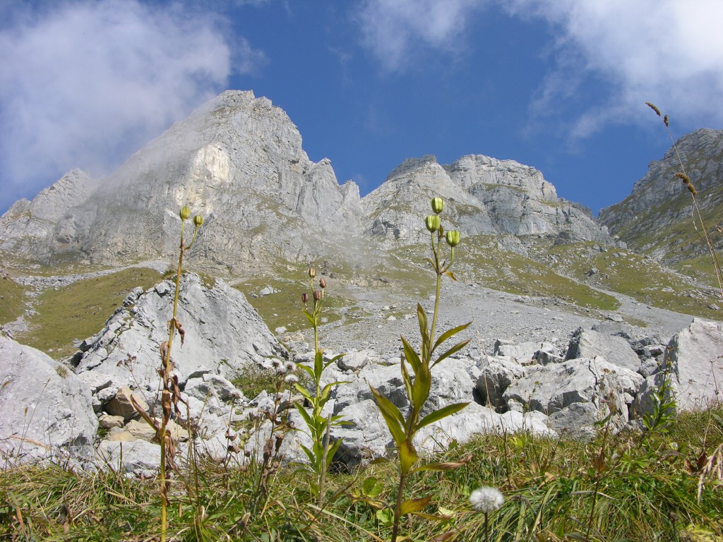 dscn1876.jpg