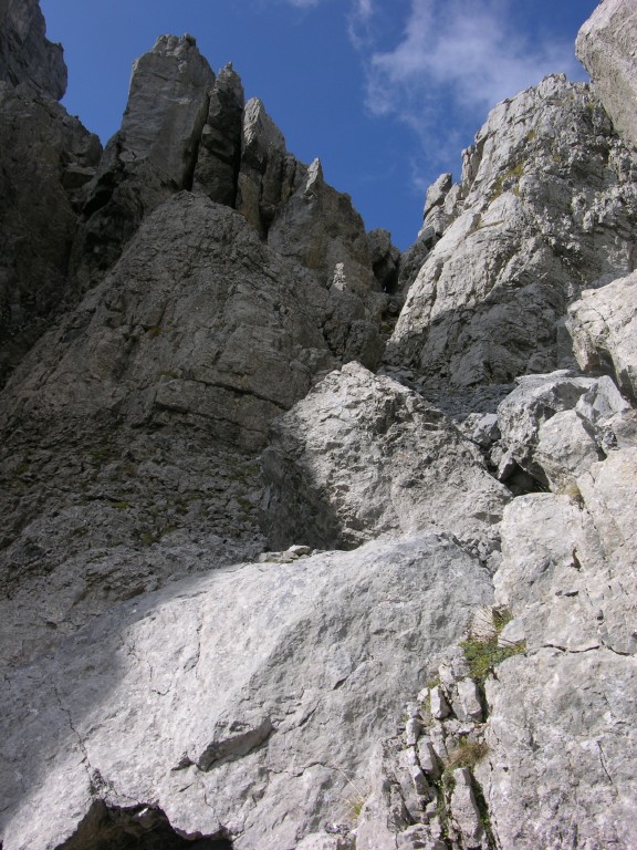 dscn1887.jpg