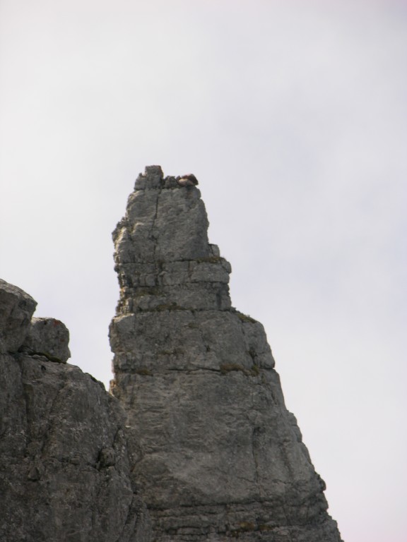 dscn1890.jpg