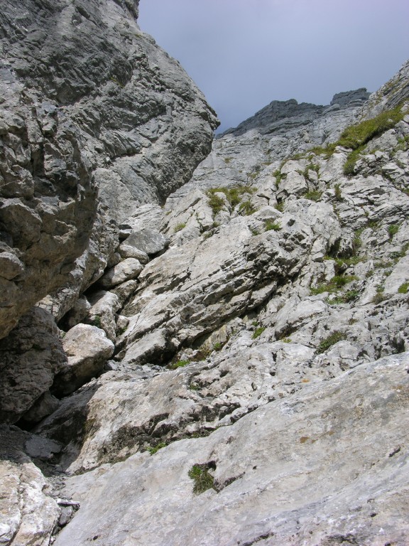 dscn1898.jpg