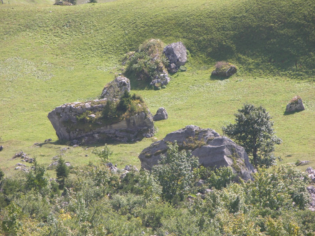 dscn1900.jpg