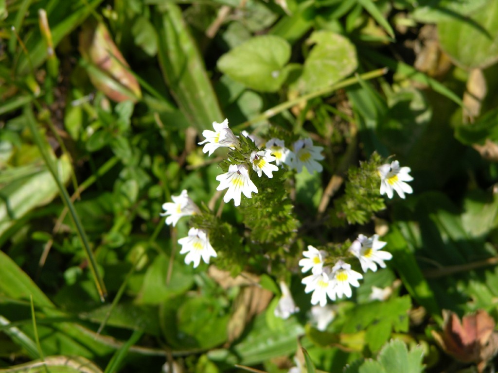 dscn1904.jpg