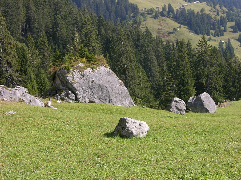 dscn1905.jpg