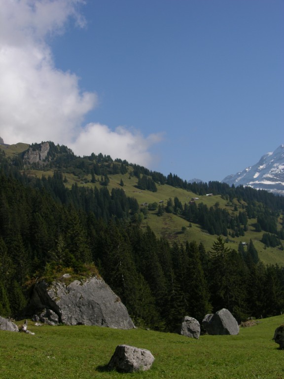dscn1906.jpg