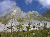 dscn1876.jpg