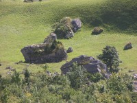 dscn1900.jpg