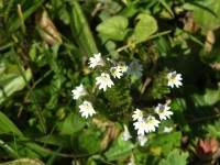 dscn1904.jpg