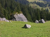 dscn1905.jpg