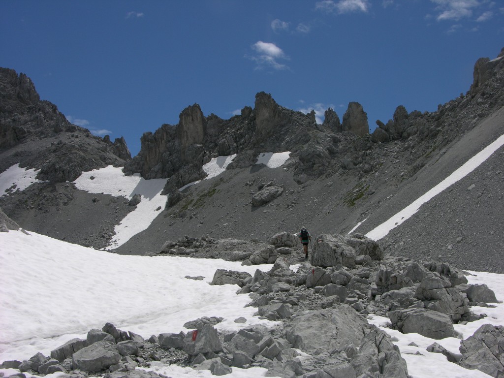 dscn1517.jpg
