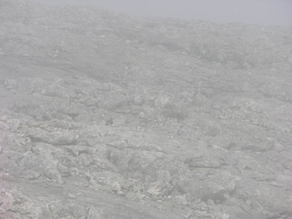 dscn1465.jpg