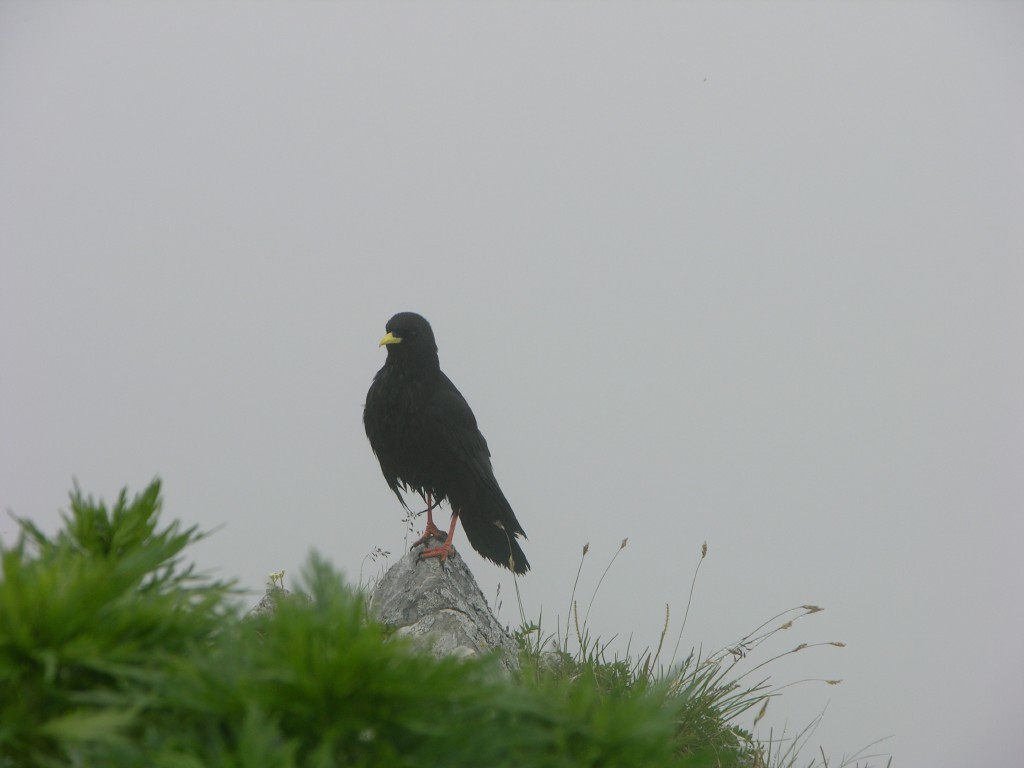 dscn1499.jpg