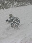 dscn1490.jpg