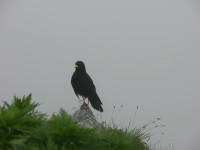 dscn1499.jpg