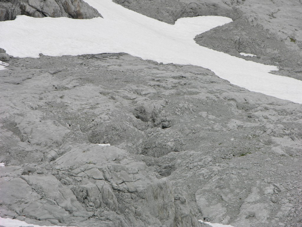 dscn1453.jpg