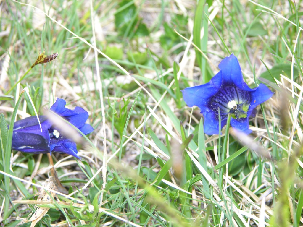 dscn1458.jpg