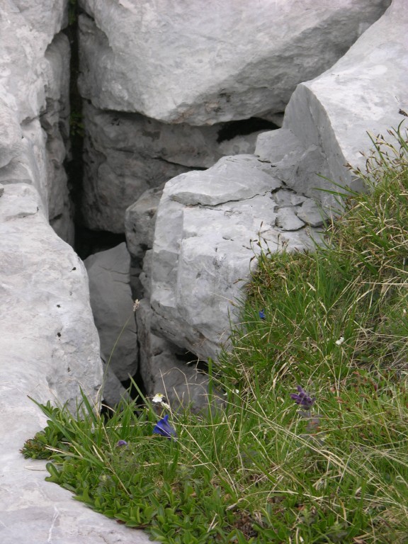 dscn1459.jpg
