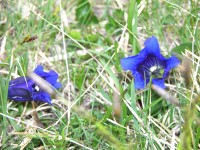 dscn1458.jpg