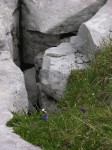 dscn1459.jpg