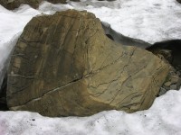 dscn1463.jpg