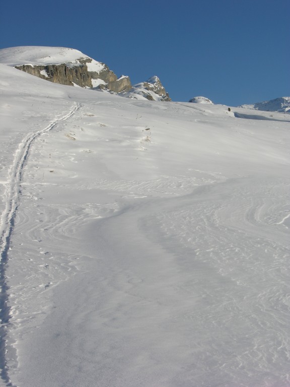 dscn2996.jpg