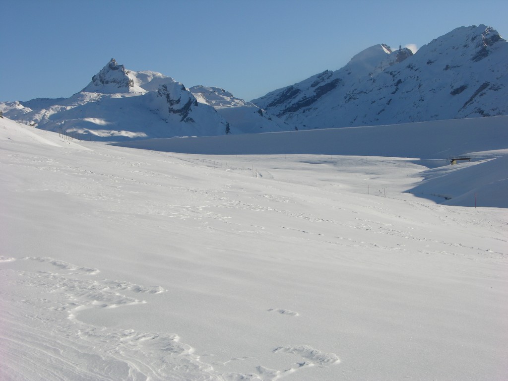 dscn2997.jpg