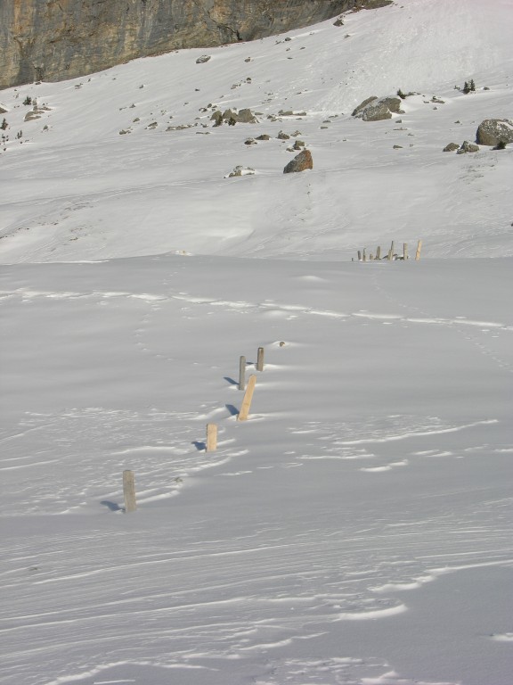 dscn3000.jpg