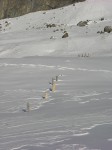 dscn3000.jpg