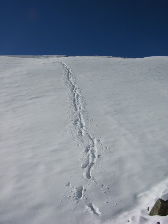 dscn1712.jpg
