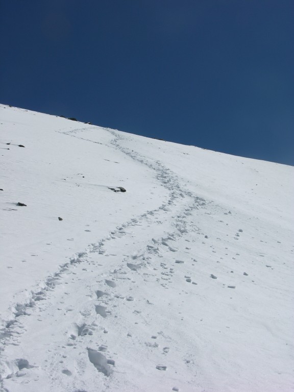 dscn1740.jpg