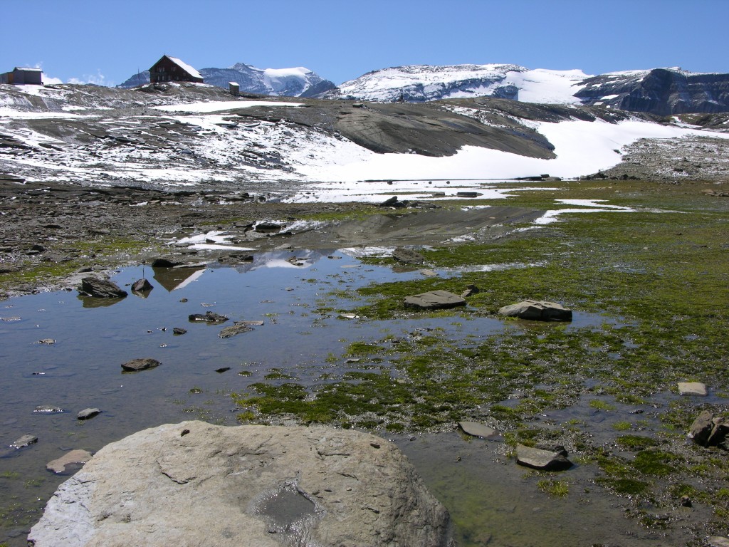 dscn1741.jpg