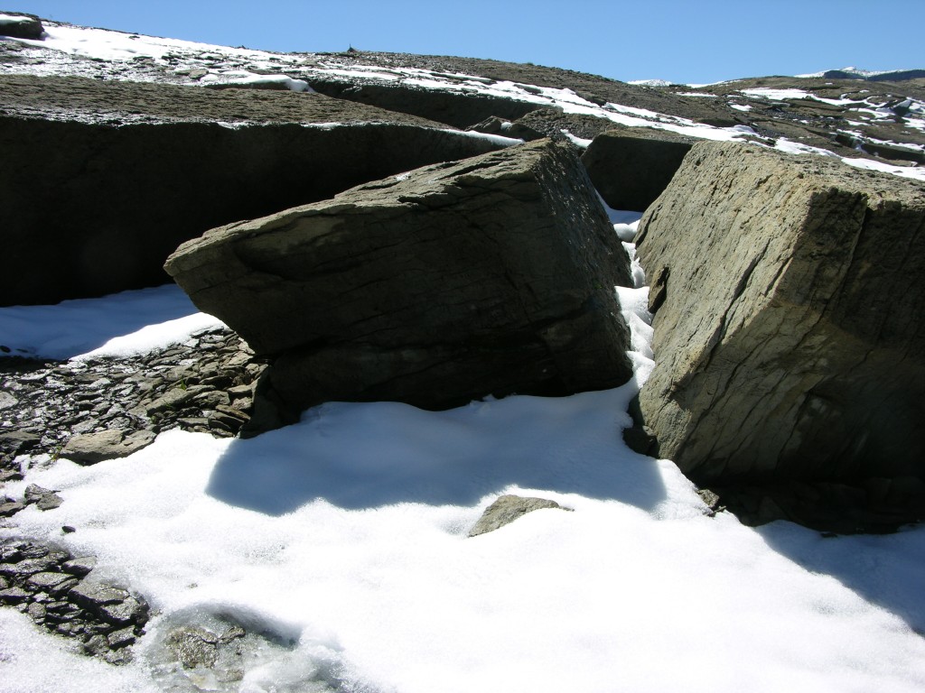 dscn1744.jpg