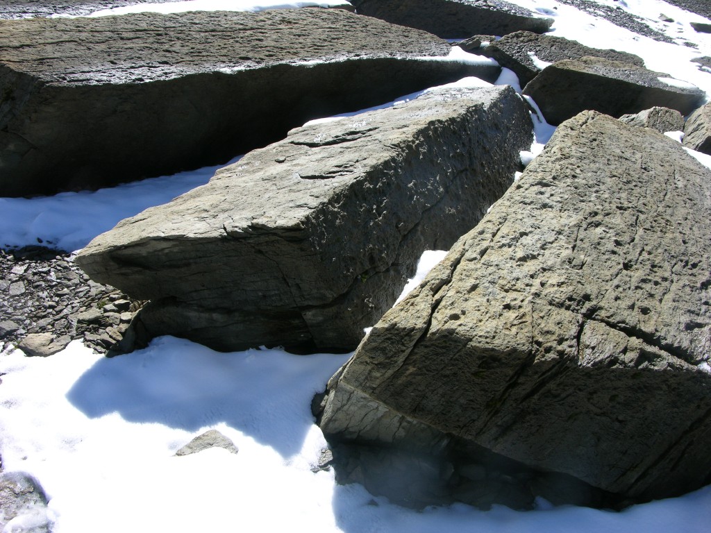 dscn1745.jpg