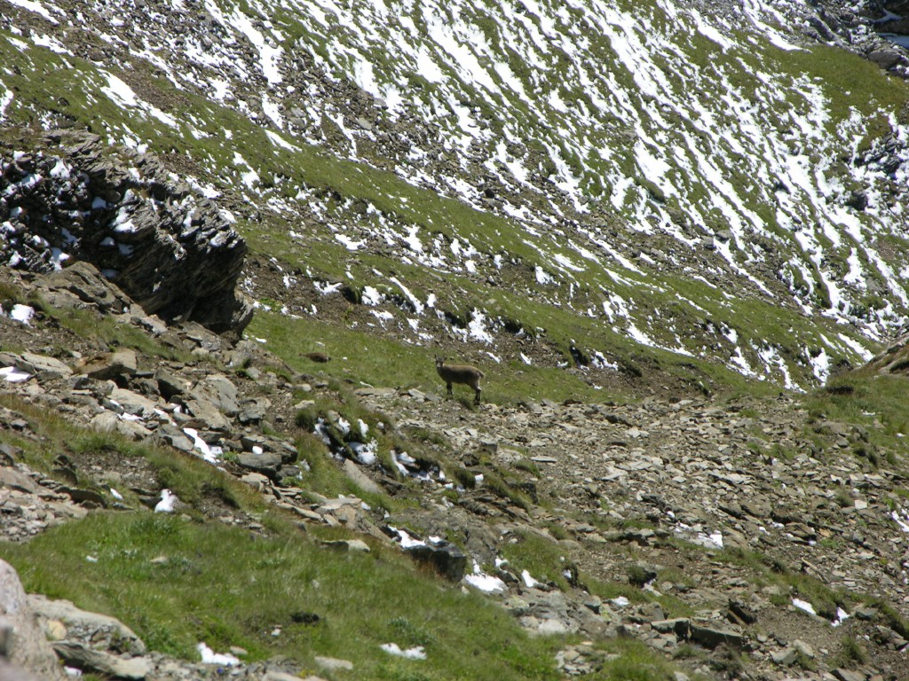dscn1746.jpg