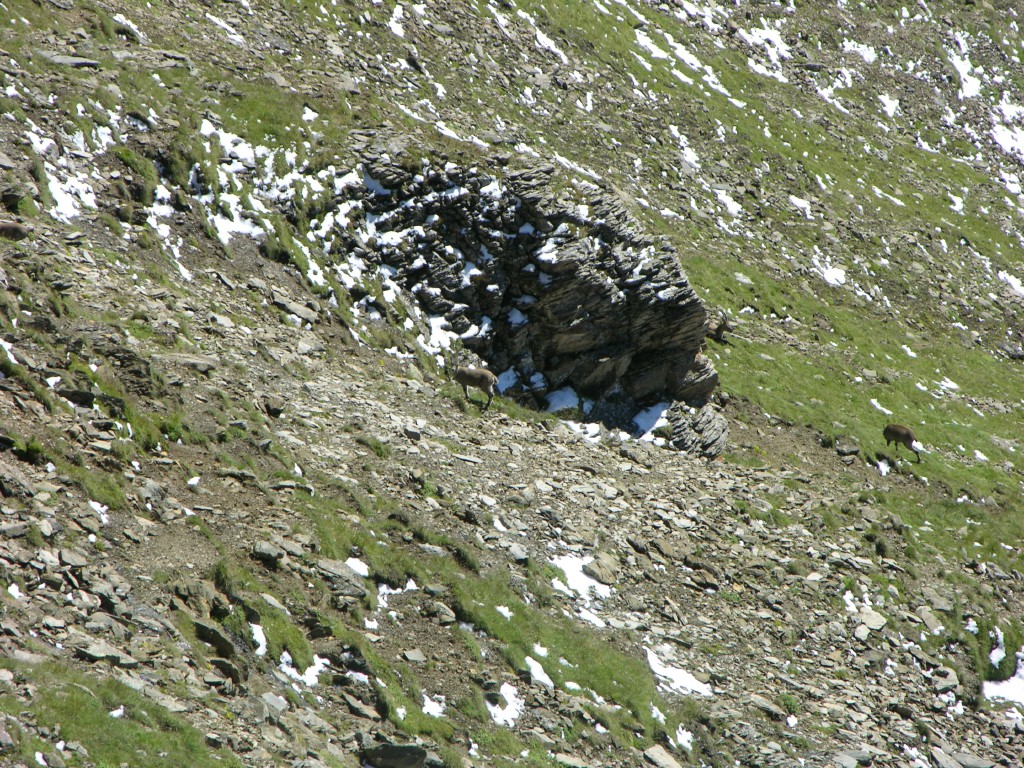dscn1747.jpg