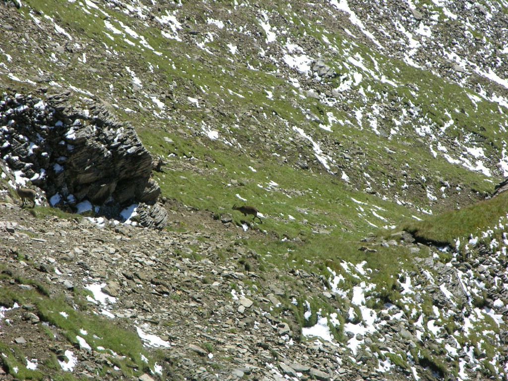 dscn1748.jpg