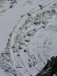 dscn1732.jpg