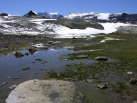 dscn1741.jpg