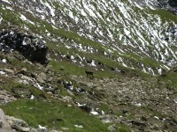 dscn1746.jpg
