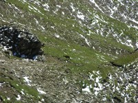 dscn1748.jpg