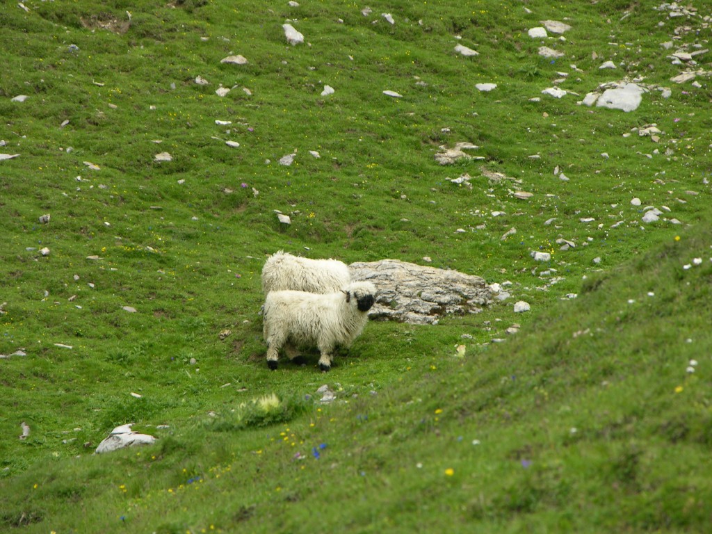 dscn1525.jpg