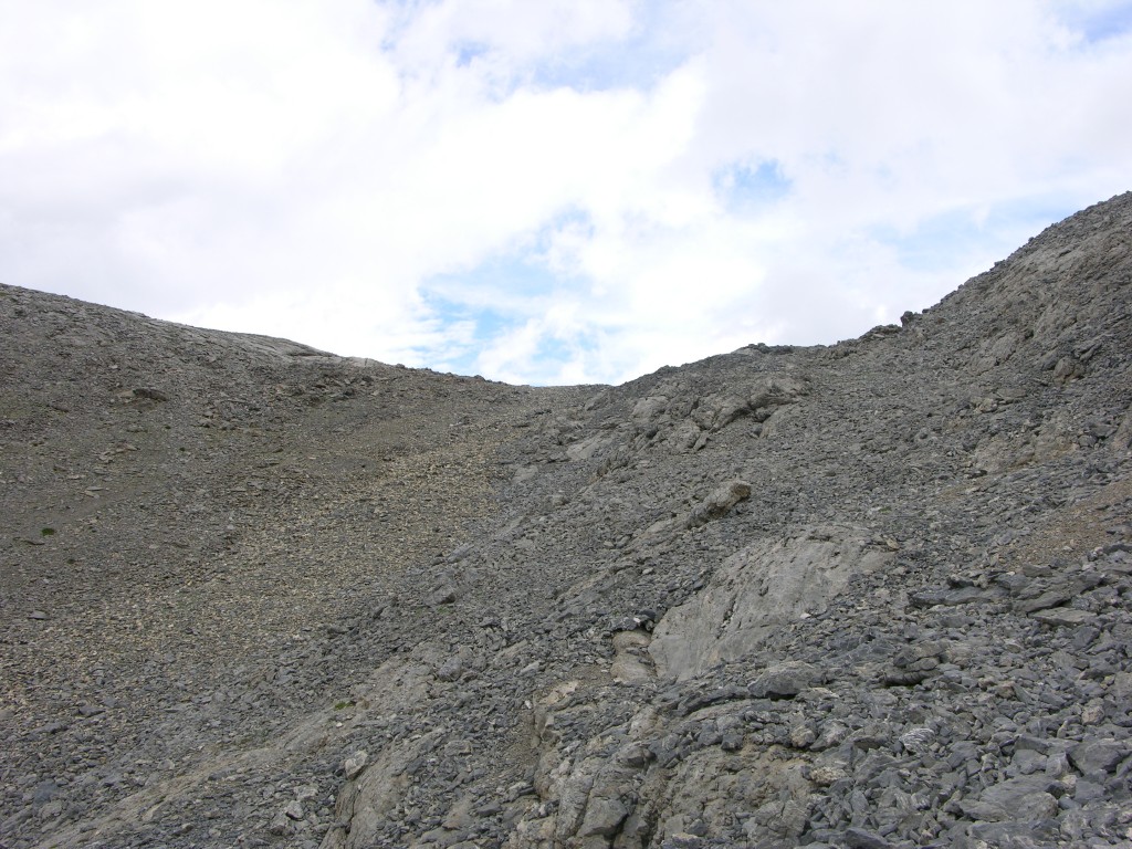 dscn1529.jpg