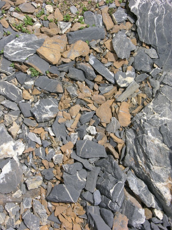 dscn1530.jpg