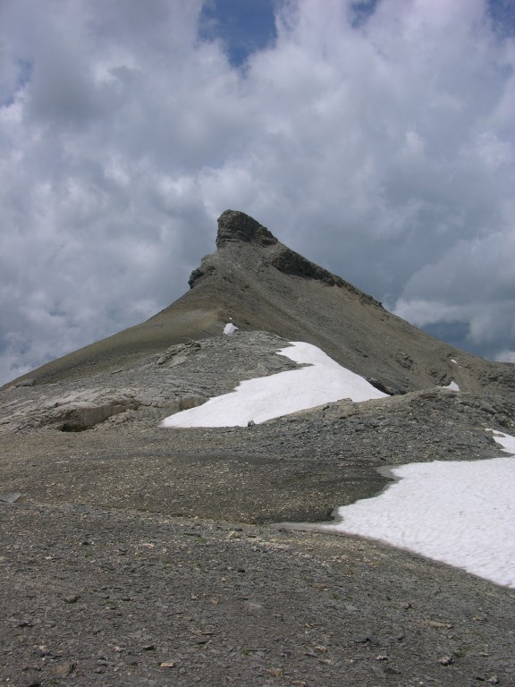 dscn1532.jpg