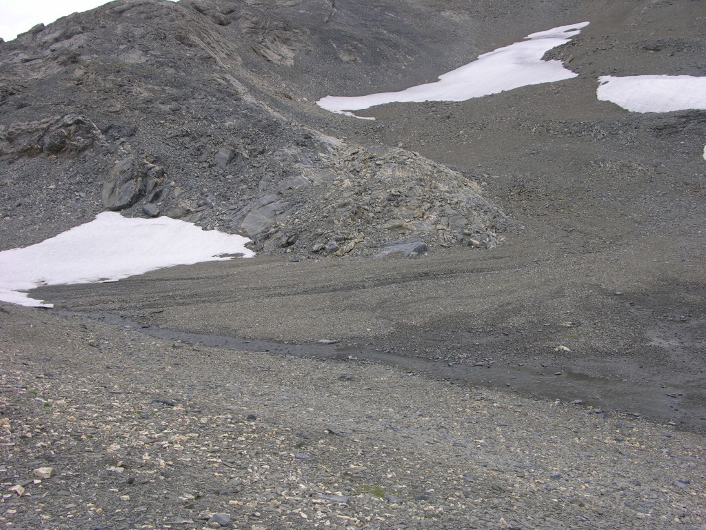 dscn1536.jpg