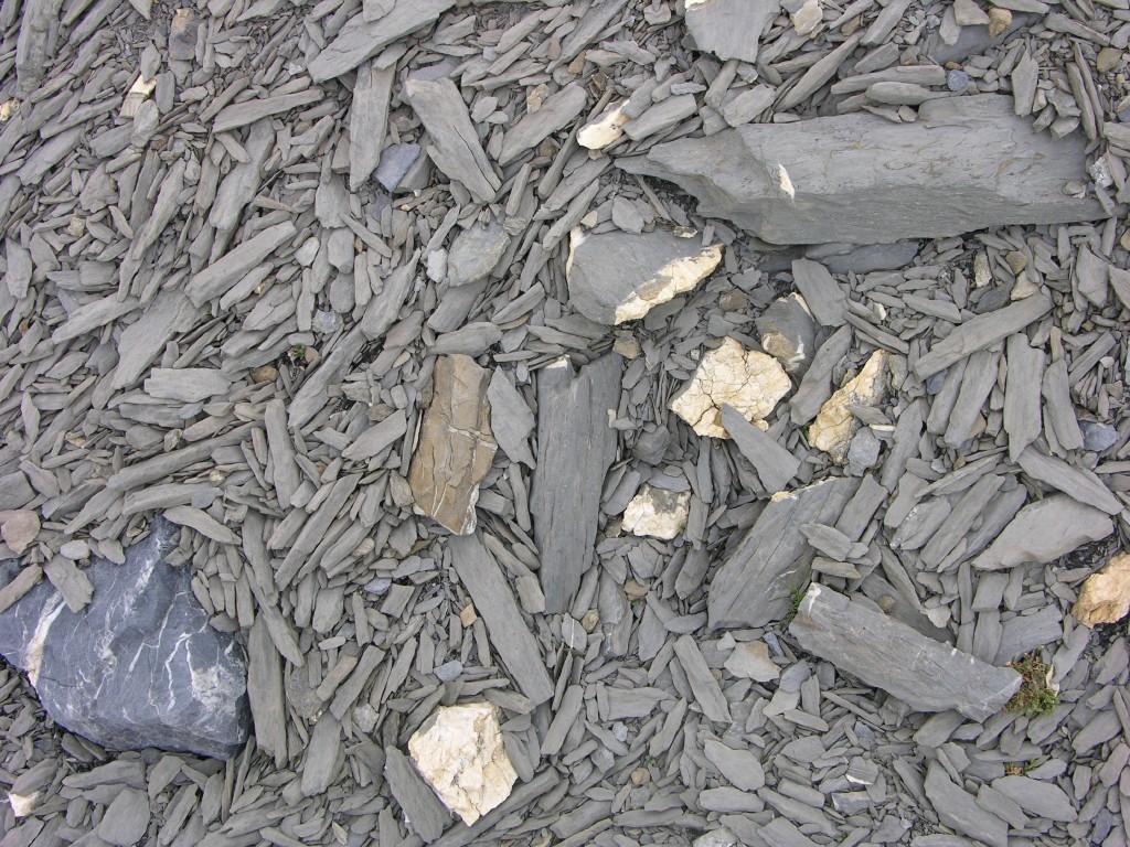 dscn1539.jpg