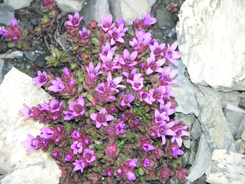 dscn1541.jpg