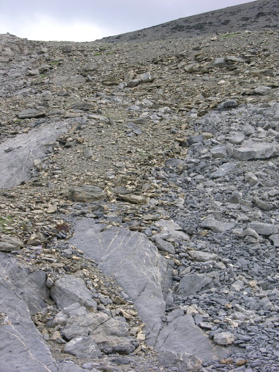 dscn1544.jpg