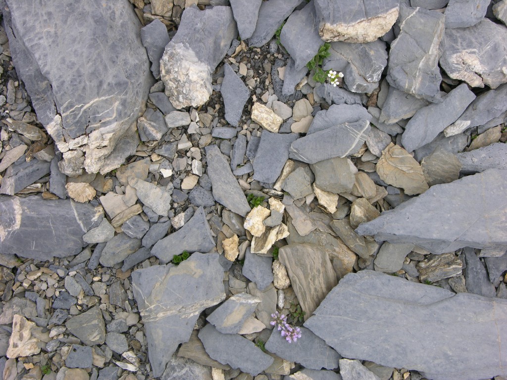 dscn1545.jpg