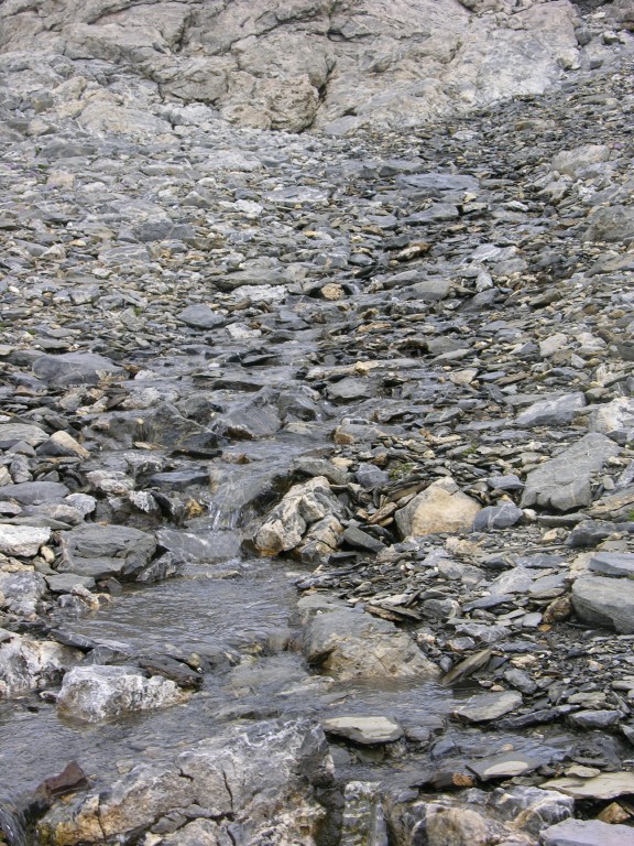 dscn1546.jpg